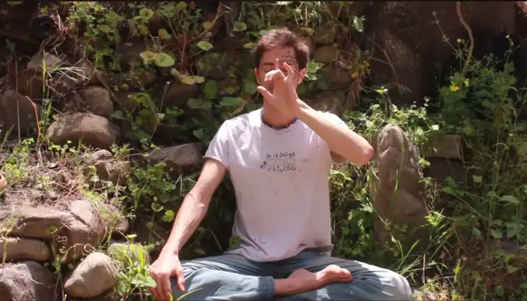 Max in 2019, post-awakening transmission